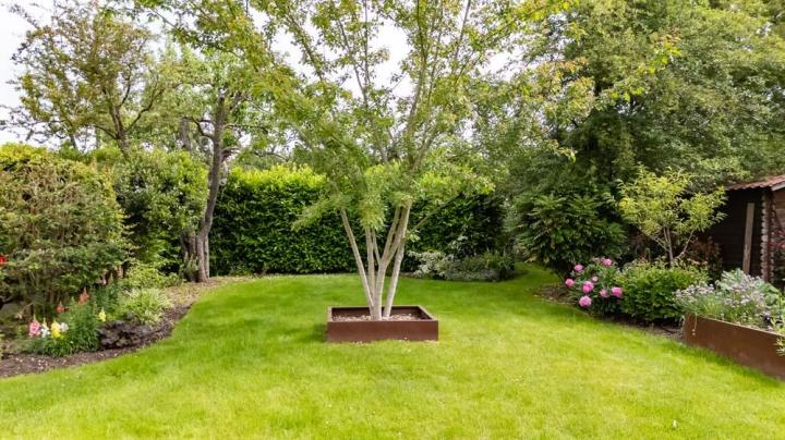 Entretien de jardin Mennecy